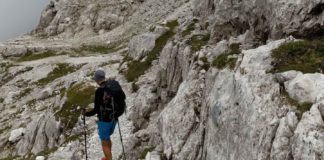 Do-the-Hikers-Need-Trekking-Pole-on-lifehack