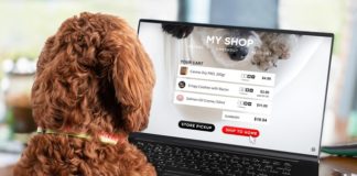 4 Ways to Connect with Your Dog Via Smart Tech Products